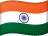 INR flag