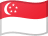 SGD flag